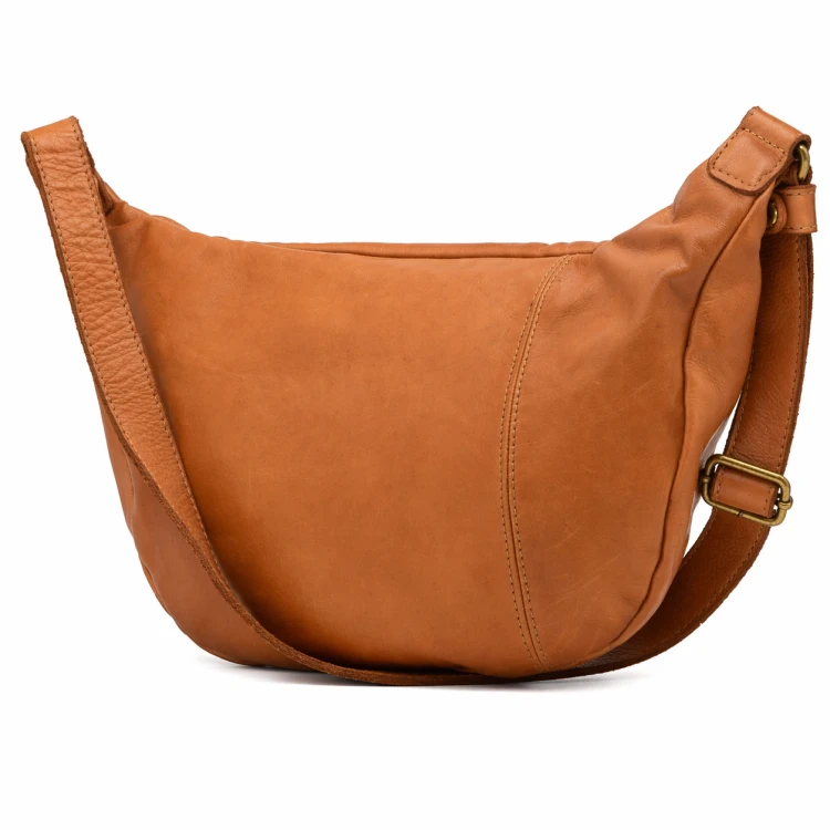 IDO 316643 — camel — 4