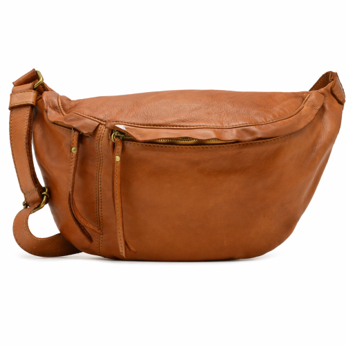 IDO 357963 — camel — 1